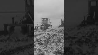 Как в советское время работники в поле трудились. #shorts #хлеб #казахстан #пшеница #урожай #жатва
