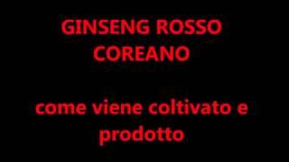 Come si coltiva il Ginseng Rosso