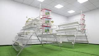 low cost layer chicken cage for sale