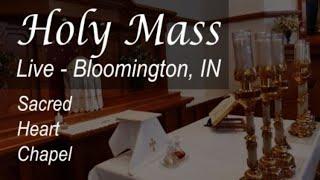 Live Mass & Rosary - 7 AM - Wed, Dec 11