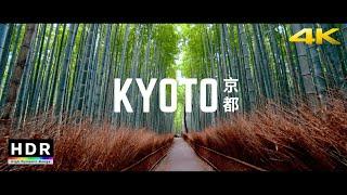 Kyoto, Japan - 21:9 Ultrawide 4K HDR - Arashiyama Bamboo Forest - Cinematic Short