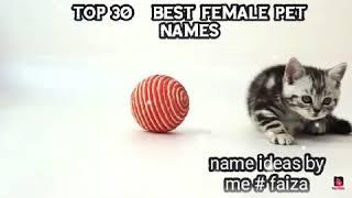 Top 30 best and unique female pet names