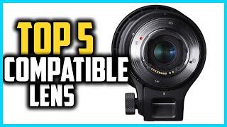 Top 5 Best Canon Compatible Lens in 2024