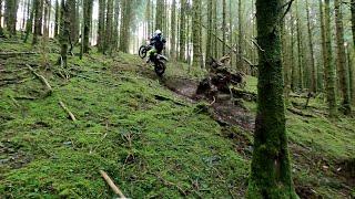 Enduro in the Welsh woods - with a bald back tyre lol