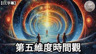 第五維度時間觀 | 何為二維,三維,五維 | 二維生物 VS 五維生物 | 黑暗叢林法則 | 節錄自 - UFO聽證會;鬼魂之謎 | Dimension D.