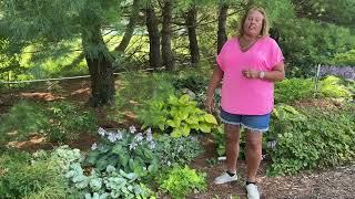 Easy to Grow Perennials for a Shade Garden