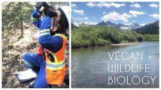 Day in my wildlife biologist life & vegan food!