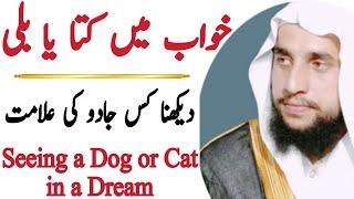 Seeing a Dog or a Cat in a Dream | Black Magic | قاری عبدالباسط سلفی |