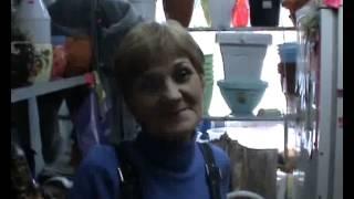 Выборы главы