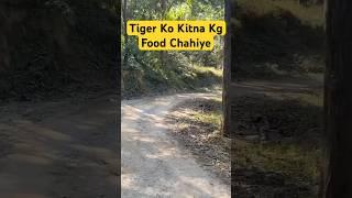 Tiger ko Kitna Kg Food Chahiye - Jim Corbett National Park #shorts #jimcorbett #tiger #wildlife