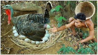 Survival in the rainforest | Eating fruit see turkeying egg | survival skills | Cheang lin official