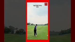 Driver Swing in Slow Motion - Long & Wide Fairway #golf