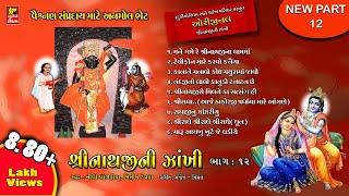 SHRINATHJI NI ZAKHI PART-12 ( PAREKH PARIVAR )શ્રીનાથજીની ઝાંખી ભાગ12  SHRINATHJI BHAJAN - SATSUNG