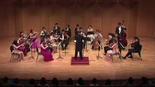 Haydn Symphony No 4  D  Amadeus Chamber Orchastra YongHo Choi