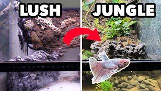 Making a Jungle Paludarium Build: Creating a Lush and Thriving Ecosystem in Your Home