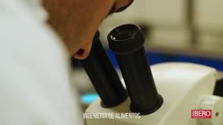 Microbiología - Ingeniería de Alimentos