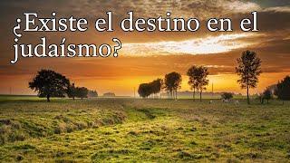 Q&A - ¿Existe el destino en el judaísmo?