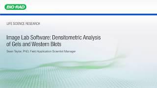 Image Lab Software: Densitometric Analysis of Gels and Western Blots