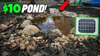 $10 Backyard Mini Pond! | Solar Powered & DIY Waterfall!