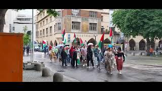 Pro-Palästina-Demo | 30.06.24 Stuttgart / Germany