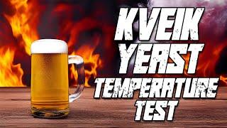 Kveik Yeast Temperature Test (Hot or Room Temp?)