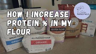 Using Vital Wheat Gluten to increase Protein % in my flour!