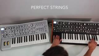 Moog Subsequent 37 vs Sub 37 Comparison Part I