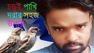 Chrhui Pakhi 12Ta Dim Pereche 13Ta চড়ুই পাখি ১২টা ডিম পেরেছে ১৩টা