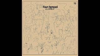 Faun Tempol "Sleeping Couch" Funk Night Records LP (FNR-248)