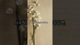 타고난 팔자가 아닌 키워가는 팔자 ㅣ사주를 운명이 아닌 지도로 해석하는 관점의 지혜 #운이오는소리 #금전운상승 #명언 #운명이야기