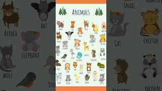 Do you know any of these animals? #esllearning #english #onlineeslteaching