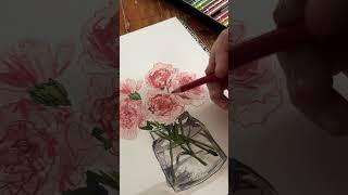 A quick sketch of the January birth flower, carnations.