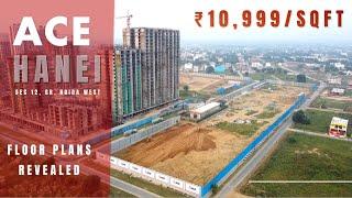 ACE Hanei Noida Extension | New Launch Sector 12, Greater Noida West! Hit, Miss or Skip?