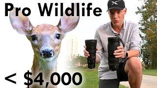 500mm Wildlife lens review: Nikon 500mm f/5.6E PF vs Nikon 200-500mm f/5.6E