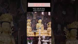  "죽고 싶을 때 읽는 법정스님의 말씀" #법정스님 #희망메시지 #생명존중 #마음치유 #불교명언 #힐링 #위로 #용기 #희망 #나무아미타불 #부처님자비 #생명의소중함 #극복