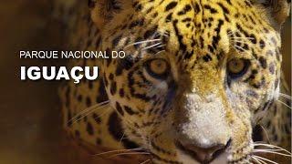 Parque Nacional do Iguaçu - ICMBio