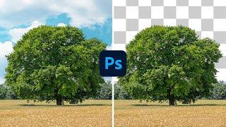 Cómo RECORTAR Árboles en Photoshop SIN Halos ni Fallos ️ | Alain Perdomo