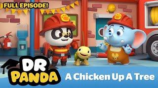 Dr. Panda ‍ A Chicken Up A Tree  (HD - Full Episode) | Kids Learning Video