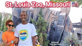 Unforgettable Encounters // Exploring the St. Louis Zoo