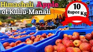 How is Apple mandi of Kullu Manali,Himachal Pradesh