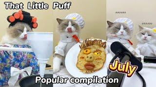 That Little Puff | Popular July Compilation