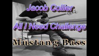 #AllINeedchallenge (Jacob Collier) on Mustang bass.