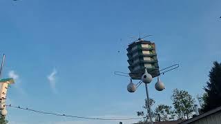 PURPLE MARTINS ON MONDAY, JULY 8TH, 2024...