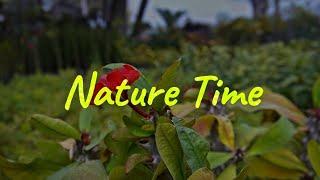 Beautiful Nature | best Nature video | morning vibes 