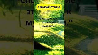 Спокойствие – это ключ к мудрости   #душа #любовь #магия #душа