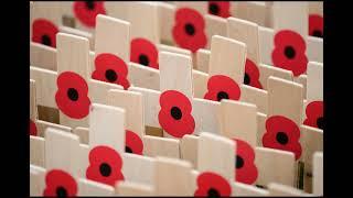 How to watch Festival of Remembrance 2024 on TV