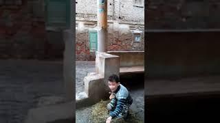 الخواجة يوسف