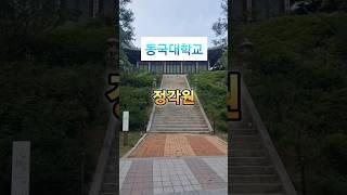 #정각원 #법당 #불교 #서울가볼만한곳 #여행지추천 #동국대학교 #충무로역 #서울중구