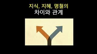 지식, 지혜, 명철의 차이와 관계