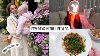 VLOG | A Cozy Fall Night, Big Life Update & Non Toxic Products Chat | Annie Jaffrey